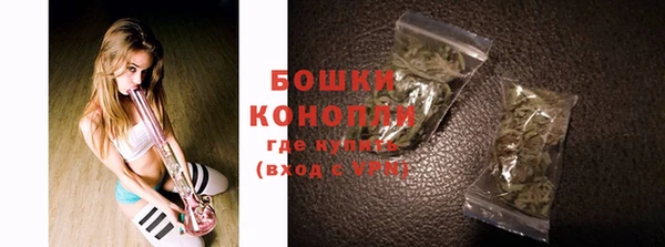 крисы Надым