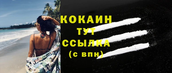крисы Надым
