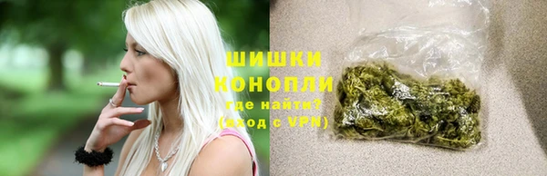 крисы Надым