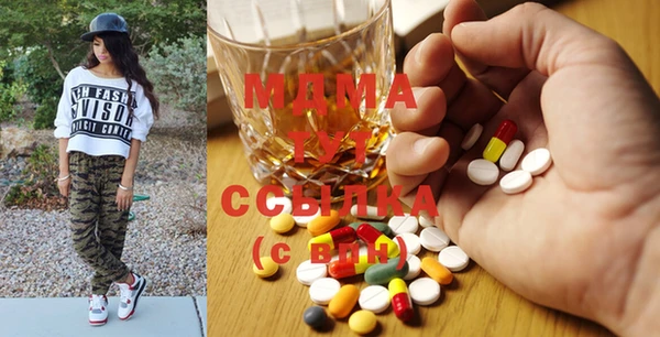 крисы Надым