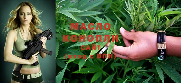 крисы Надым