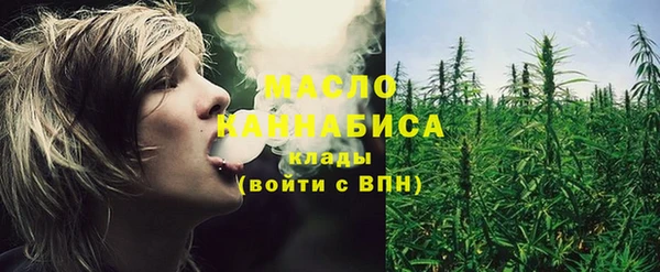 крисы Надым