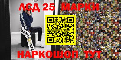 винт Новозыбков